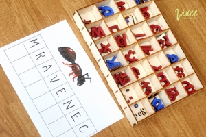 Téma mravenc pro předškoláky - čtení a psaní s pohyblivou abecedou