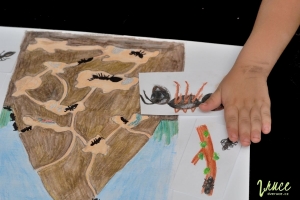 Téma mravenc pro předškoláky - mraveniště