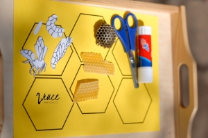 Vývoj včely - výroba plakátu na nástěnku
